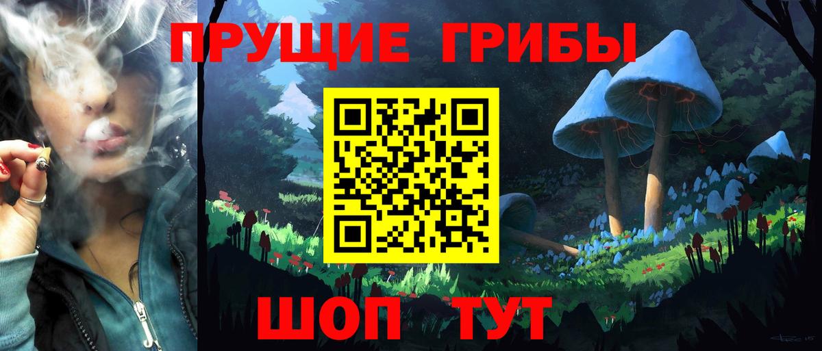 Галлюциногенные грибы MAGIC MUSHROOMS  Вход с VPN  Ростов-на-Дону 
